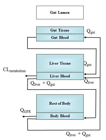 Figure: Three Compartment Model Schematic