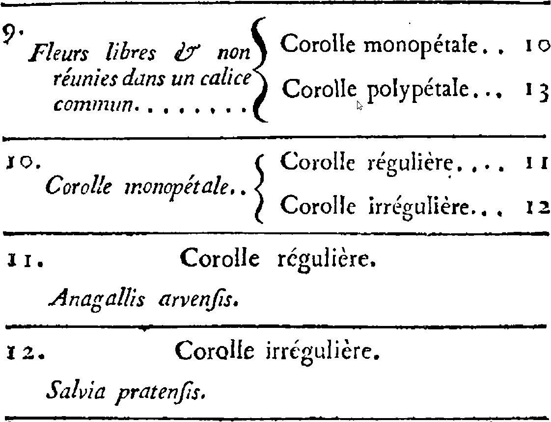 Figure: lamarck1788bracket.png