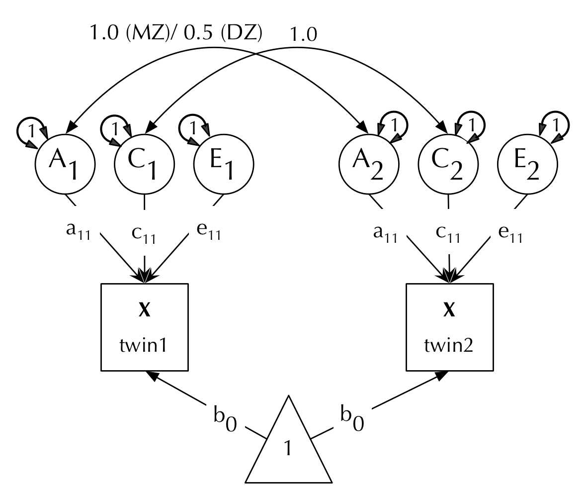 Figure: ACE univariate.png