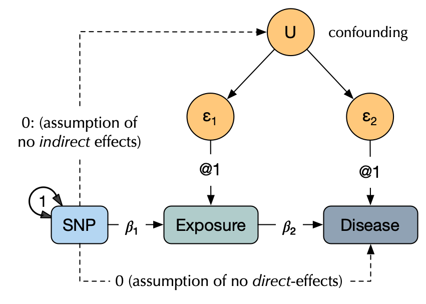 Figure: Mendelian Randomization analysis.png